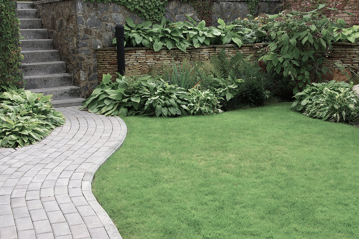 Welcome to Green Tree Landscaping