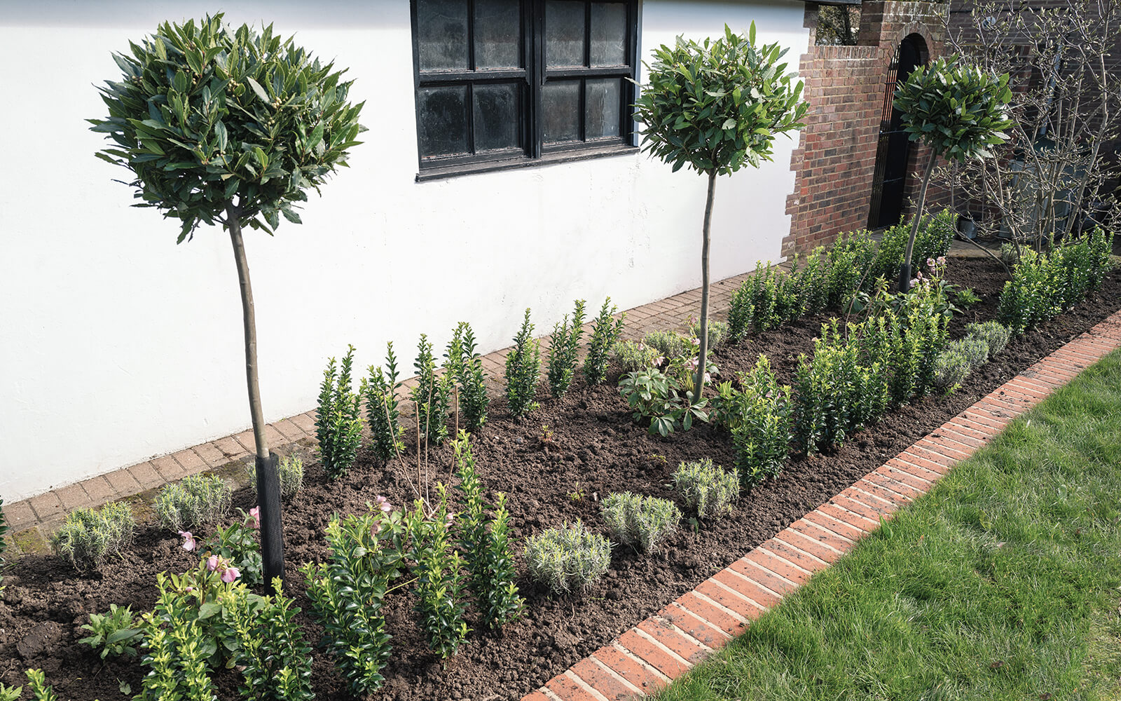 Green Tree Landscaping Work